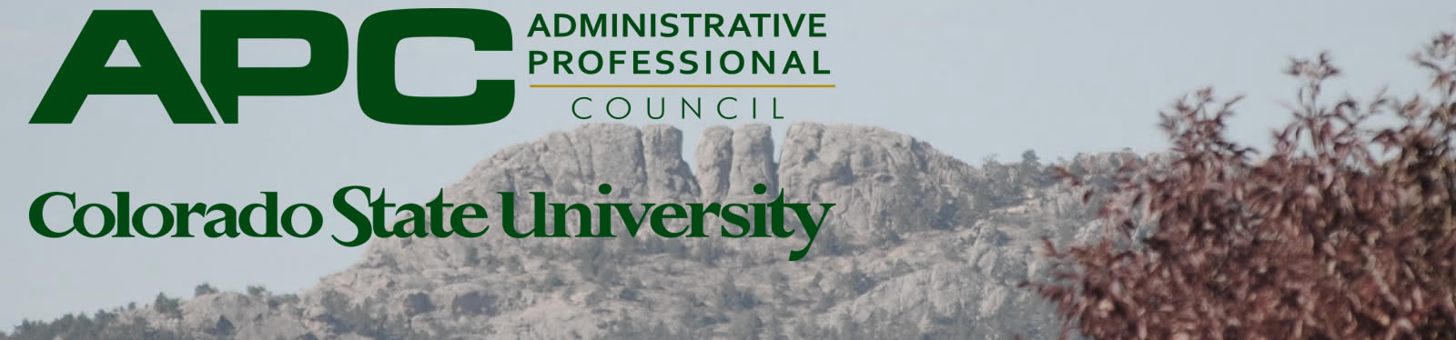 APC - Administrative Professional Council